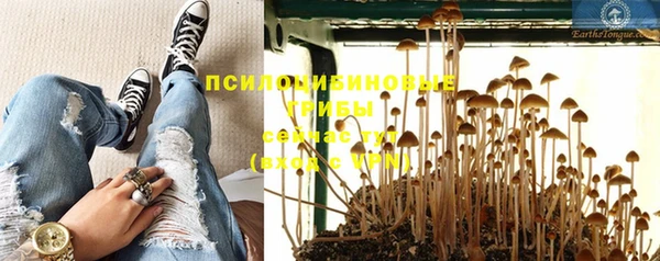 а пвп мука Белокуриха