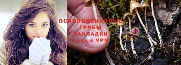 а пвп мука Белокуриха