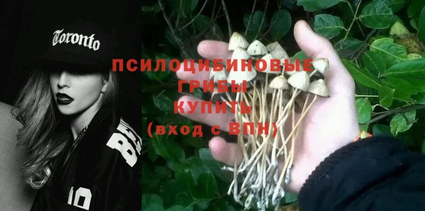 ALPHA PVP Беломорск