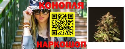 прущие грибы Малоярославец
