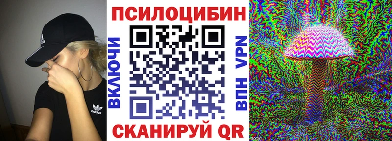 Псилоцибиновые грибы Magic Shrooms  нарко площадка официальный сайт  Буйнакск 