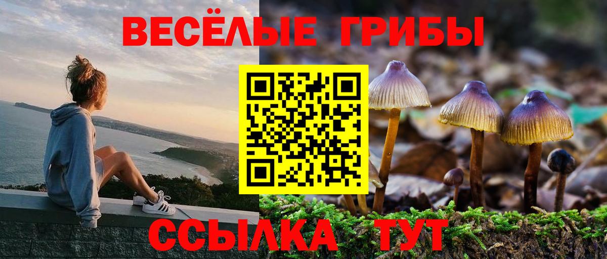 Буйнакск  Галлюциногенные грибы мицелий  Вход с VPN 