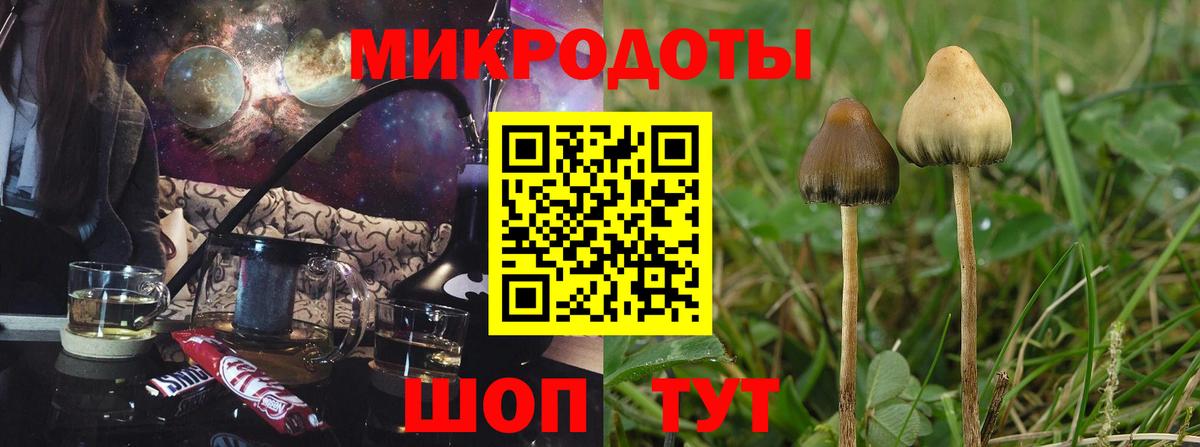 Псилоцибиновые грибы мухоморы Буйнакск
